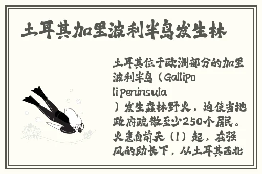 冰块一颗一颗往下体塞肚子